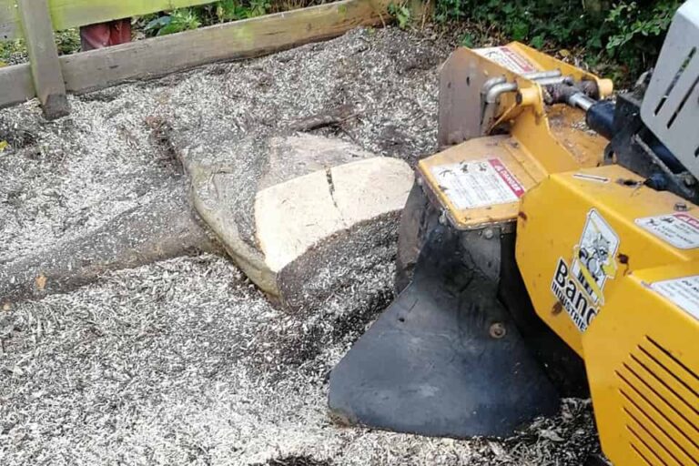 Grinding a tree stump